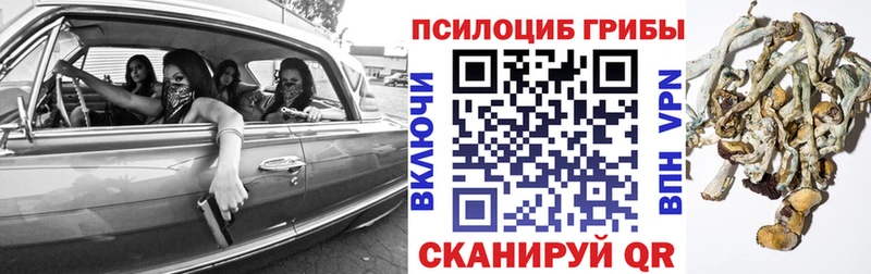 Галлюциногенные грибы мицелий  Переславль-Залесский 
